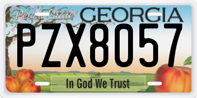 GA license plate PZX8057