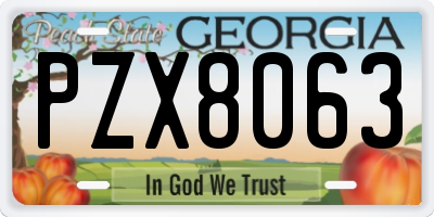GA license plate PZX8063