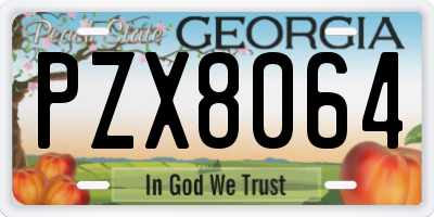 GA license plate PZX8064