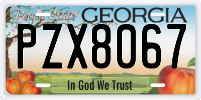 GA license plate PZX8067