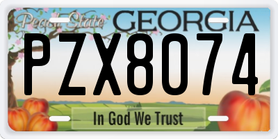 GA license plate PZX8074
