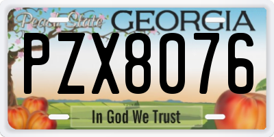 GA license plate PZX8076
