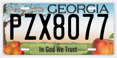 GA license plate PZX8077