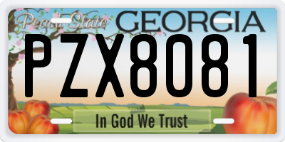 GA license plate PZX8081