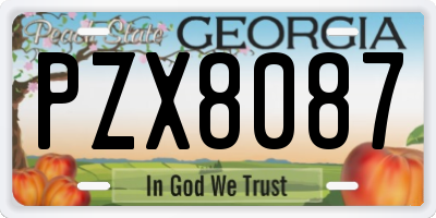 GA license plate PZX8087