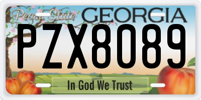GA license plate PZX8089