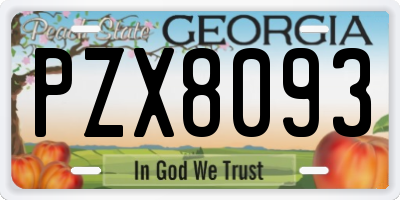 GA license plate PZX8093