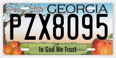 GA license plate PZX8095
