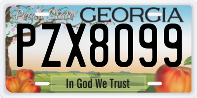 GA license plate PZX8099