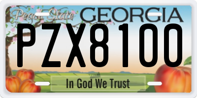 GA license plate PZX8100