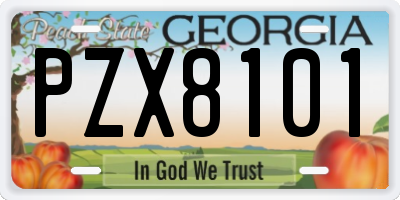 GA license plate PZX8101