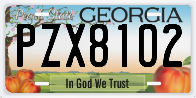 GA license plate PZX8102