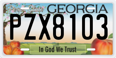 GA license plate PZX8103