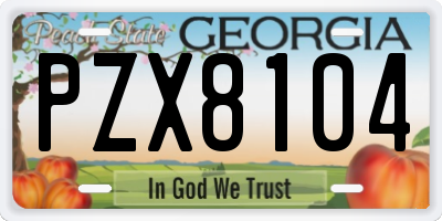 GA license plate PZX8104