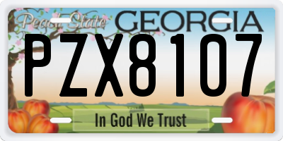 GA license plate PZX8107