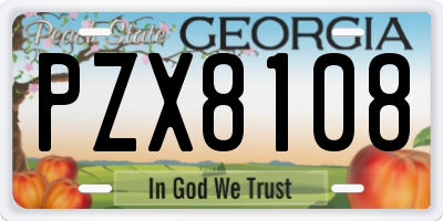 GA license plate PZX8108