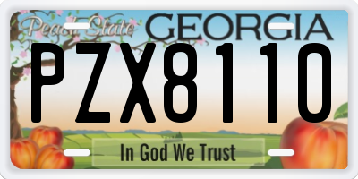 GA license plate PZX8110