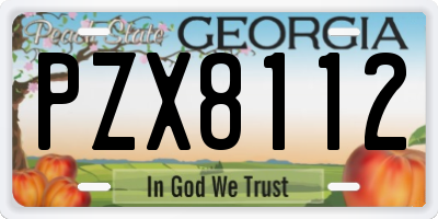 GA license plate PZX8112