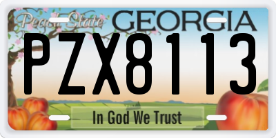 GA license plate PZX8113