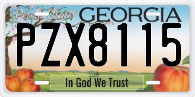 GA license plate PZX8115