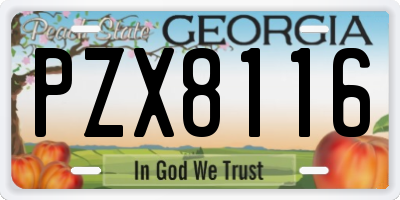 GA license plate PZX8116
