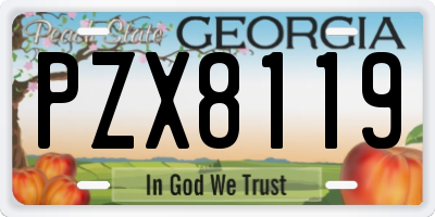 GA license plate PZX8119