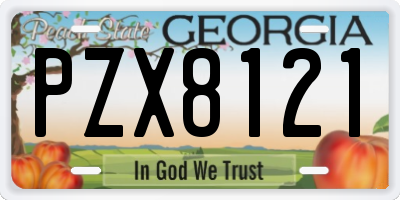 GA license plate PZX8121