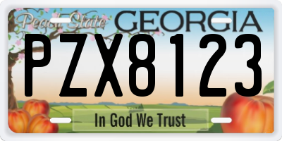 GA license plate PZX8123