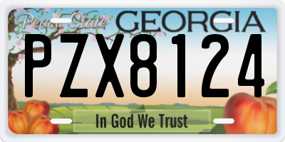 GA license plate PZX8124