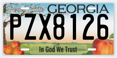 GA license plate PZX8126