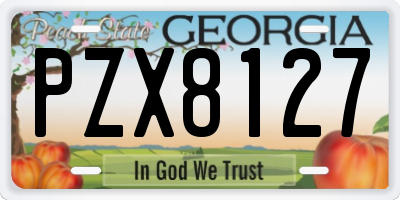 GA license plate PZX8127