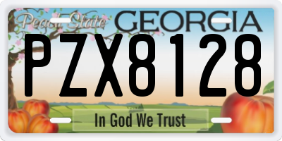 GA license plate PZX8128