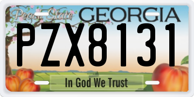 GA license plate PZX8131