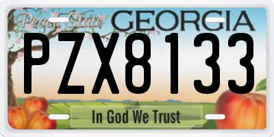 GA license plate PZX8133