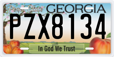 GA license plate PZX8134