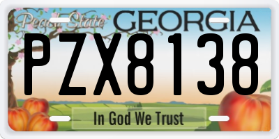 GA license plate PZX8138