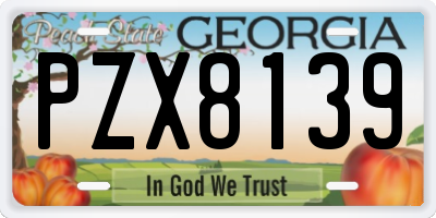 GA license plate PZX8139
