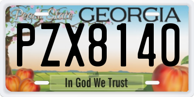 GA license plate PZX8140