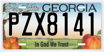 GA license plate PZX8141