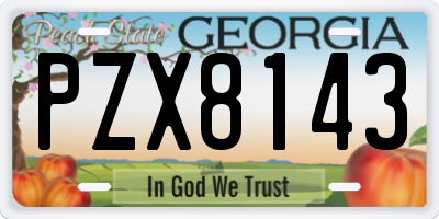 GA license plate PZX8143