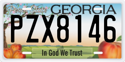 GA license plate PZX8146