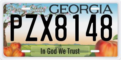 GA license plate PZX8148