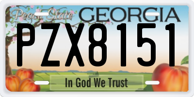 GA license plate PZX8151