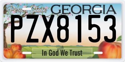 GA license plate PZX8153