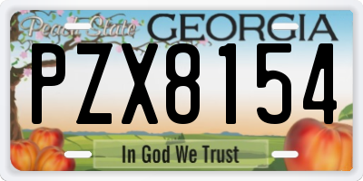 GA license plate PZX8154