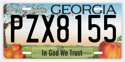 GA license plate PZX8155