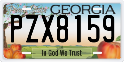 GA license plate PZX8159