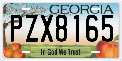 GA license plate PZX8165