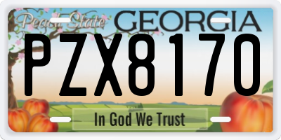 GA license plate PZX8170