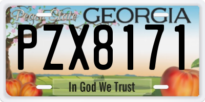 GA license plate PZX8171